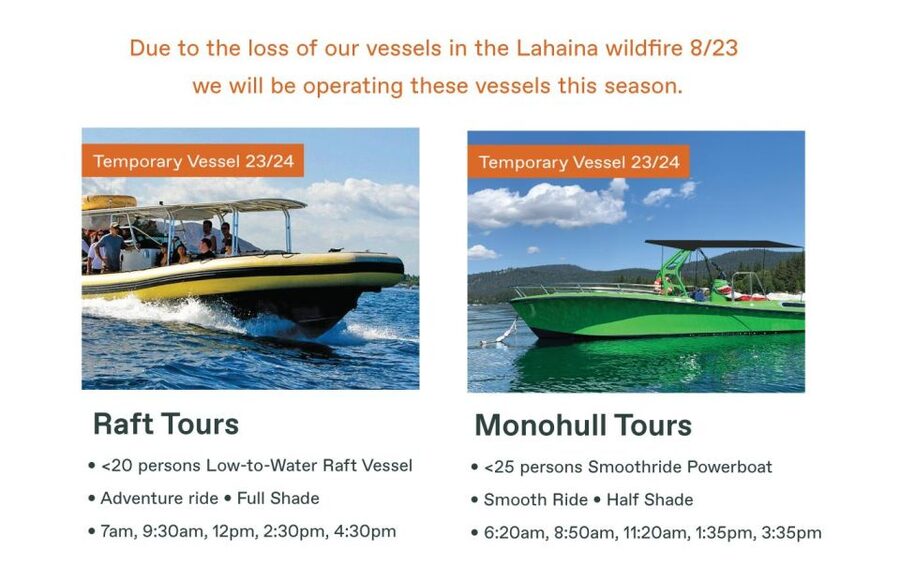 Maui: Guided Whale Watching Tour on Eco Raft - About 90 minutes searching for whales