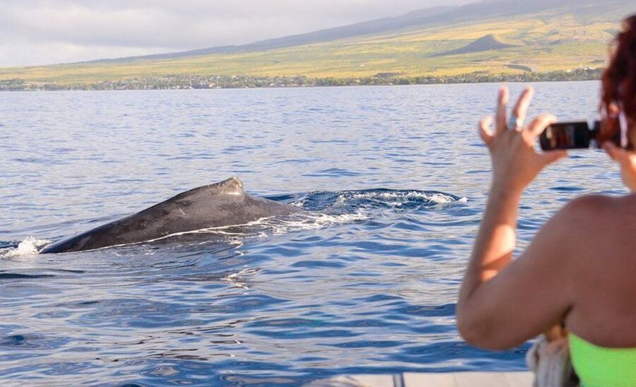 Maui: Guided Whale Watching Tour on Eco Raft - The final 15 minutes back to Lahaina