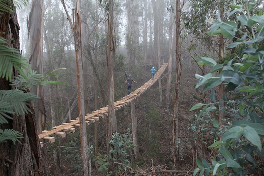 Maui: Haleakala 6-Line Zipline Adventure - Key points to know before booking