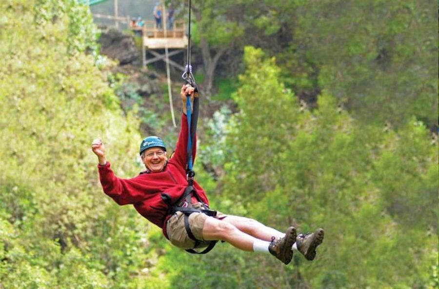 Maui: Haleakala 6-Line Zipline Adventure - Walking through eucalyptus forest