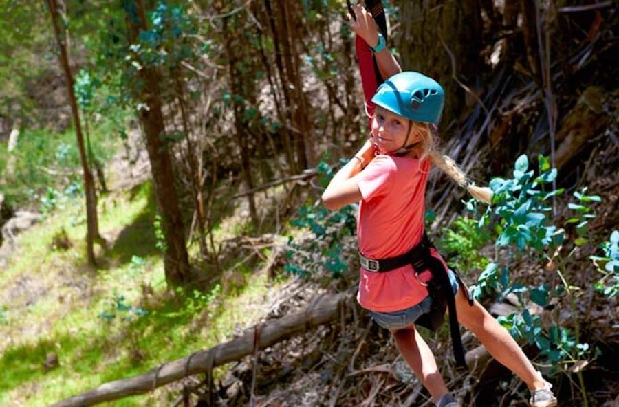 Maui: Haleakala 6-Line Zipline Adventure - How much value do you get for $147?