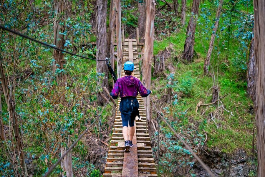 Maui: Haleakala 6-Line Zipline Adventure - Practical details that can make or break the day
