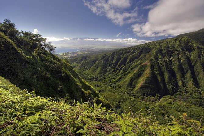 Maui Horseback Adventure at Circle M Ranch With Real Cowboys - Key points to know before booking