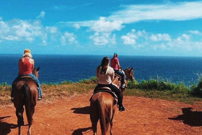 Maui Horseback Adventure at Circle M Ranch With Real Cowboys - The first 45 minutes: horses, safety, and settling in