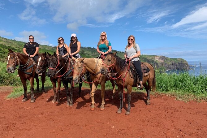 Maui Horseback Adventure at Circle M Ranch With Real Cowboys - How the horses and guides shape the experience