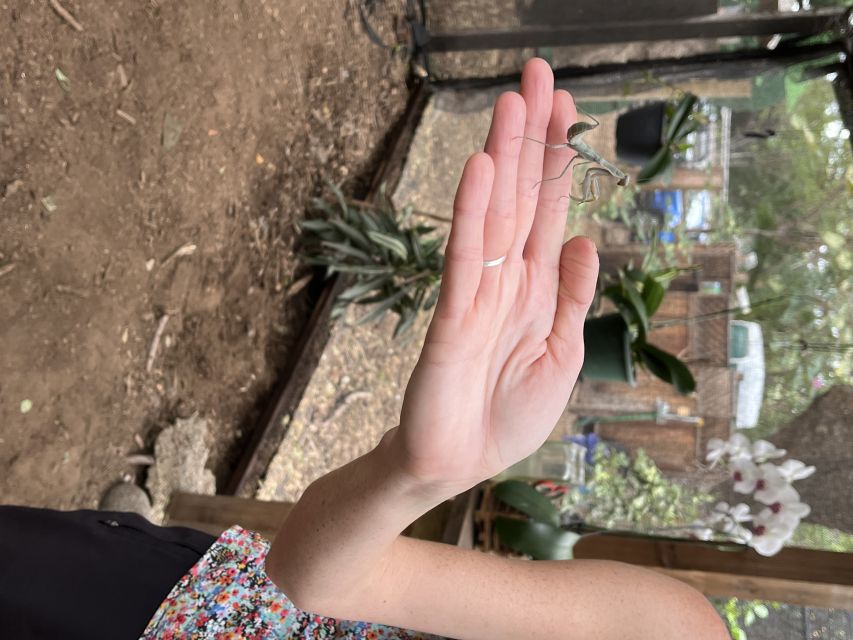 Maui: Interactive Butterfly Farm Entrance Ticket - A strong choice for families and curious adults