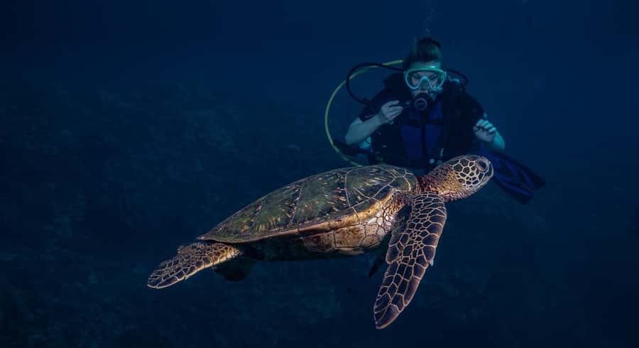 Maui: Intro to Scuba Diving from Shore - Lahaina - What to bring and what to leave behind