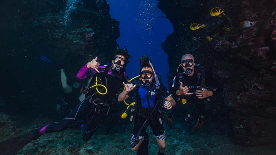 Maui: Intro to Scuba Diving from Shore - Lahaina - Timing, refunds, and planning your day