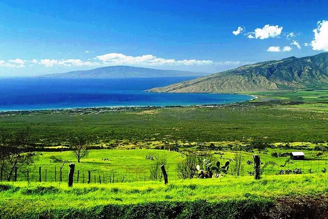 Maui Island Private Day Tour - Kahakuloa village and Karen Lei’s Gallery