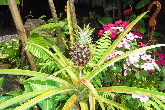 Maui Island Private Day Tour - Maui Ocean Center for an easy family stop