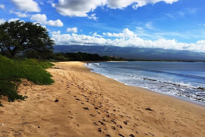 Maui Island Private Day Tour - Maui Tropical Plantation for an easygoing lunch break