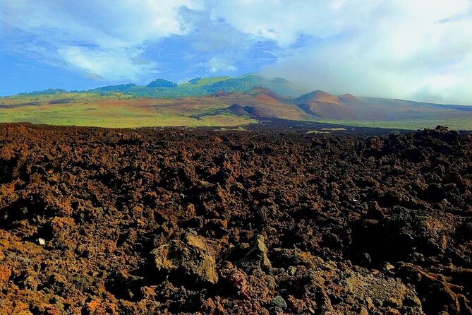 Maui Island Private Day Tour - What the $1,160 price really buys