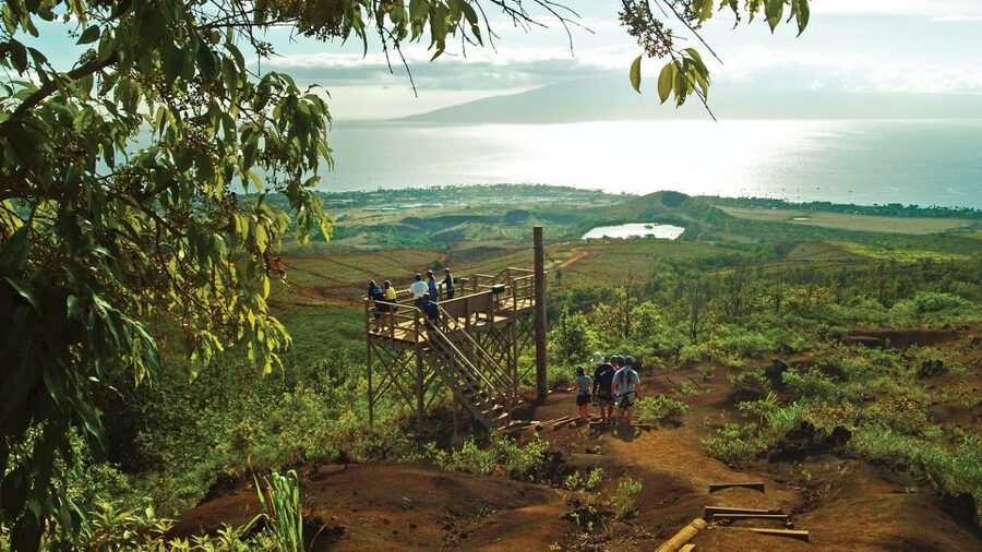 Maui: Ka'anapali 8 Line Zipline Adventure - The ride up and the walk to the first platform