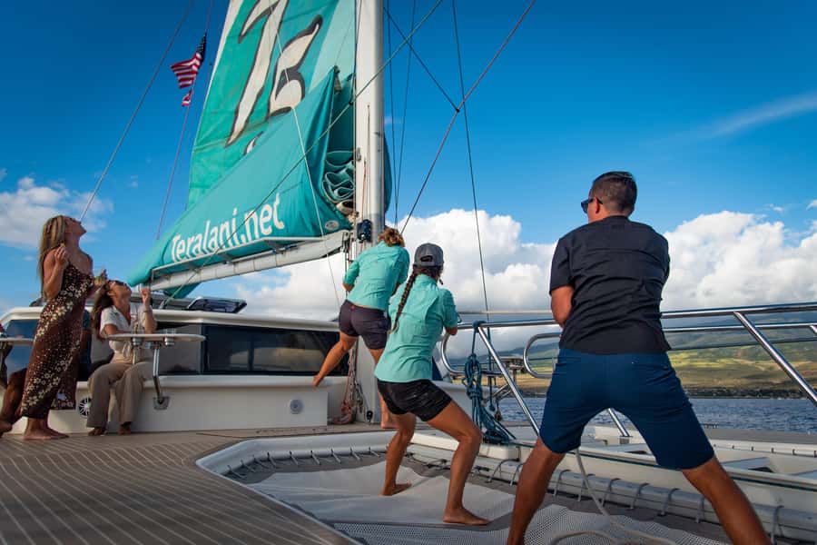 Maui: Ka'anapali Discount Whale Watch - Beach Loading Vessel - FAQ
