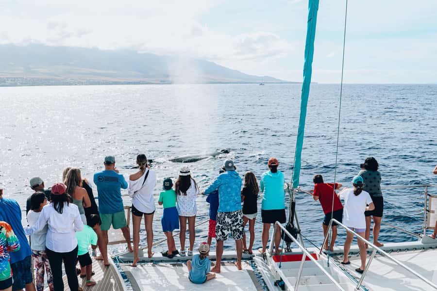 Maui: Ka'anapali Whale Watching Cruise on Luxury Sailboat - Who will enjoy this cruise most?