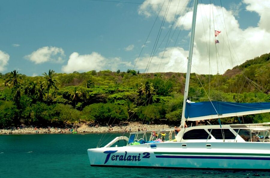 Maui: Kaanapali Beach 4-hour Snorkel w/ BBQ Lunch & Open Bar - Quick takeaways for choosing this cruise