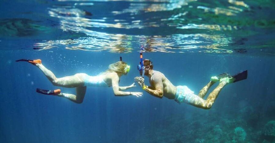 Maui: Kaanapali Beach 4-hour Snorkel w/ BBQ Lunch & Open Bar - Who Will Enjoy This Most