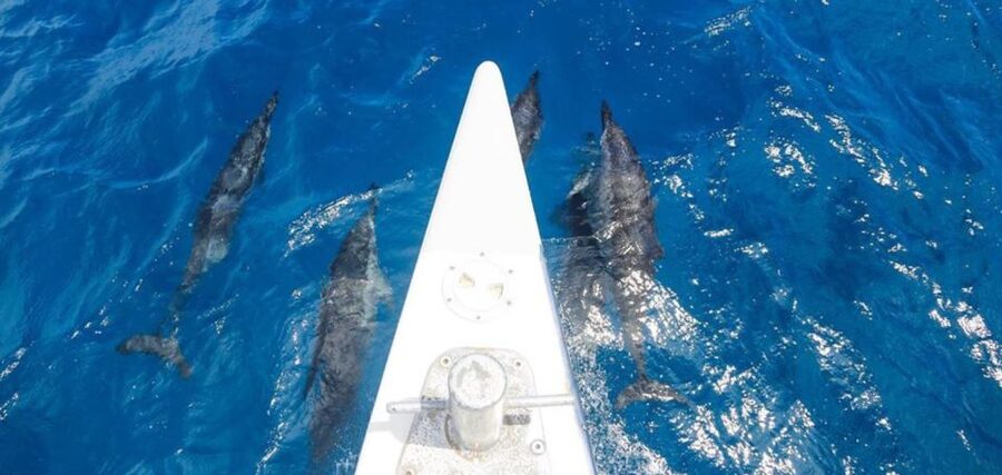 Maui: Kaanapali Beach 5-hr Snorkel w/ BBQ Lunch & Open Bar - Who will enjoy this Ka’anapali sail most