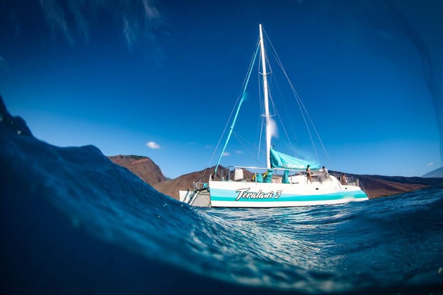 Maui: Kaanapali Dolphin Watching Boat Trip with Lunch - Key points to know before booking