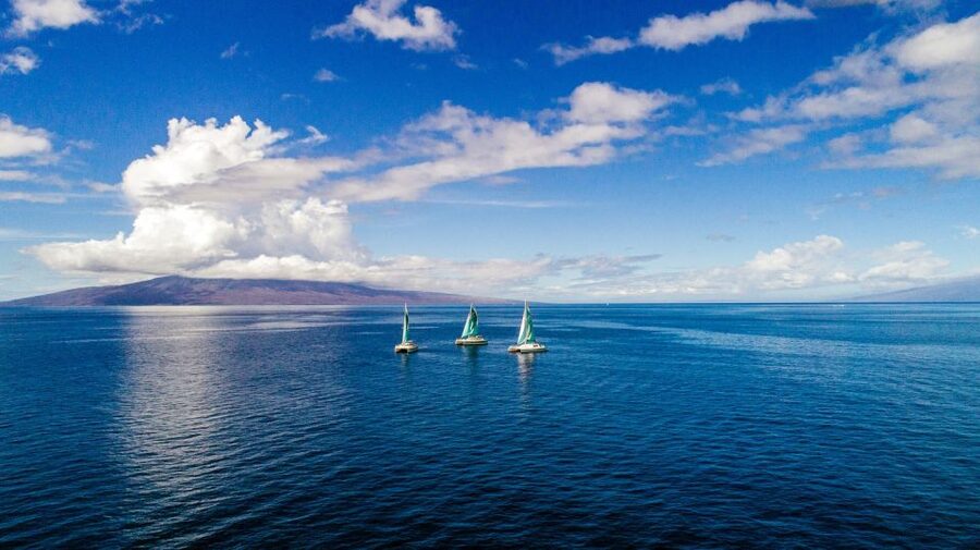 Maui: Kaanapali Dolphin Watching Boat Trip with Lunch - Booking, timing, and cancellation advice