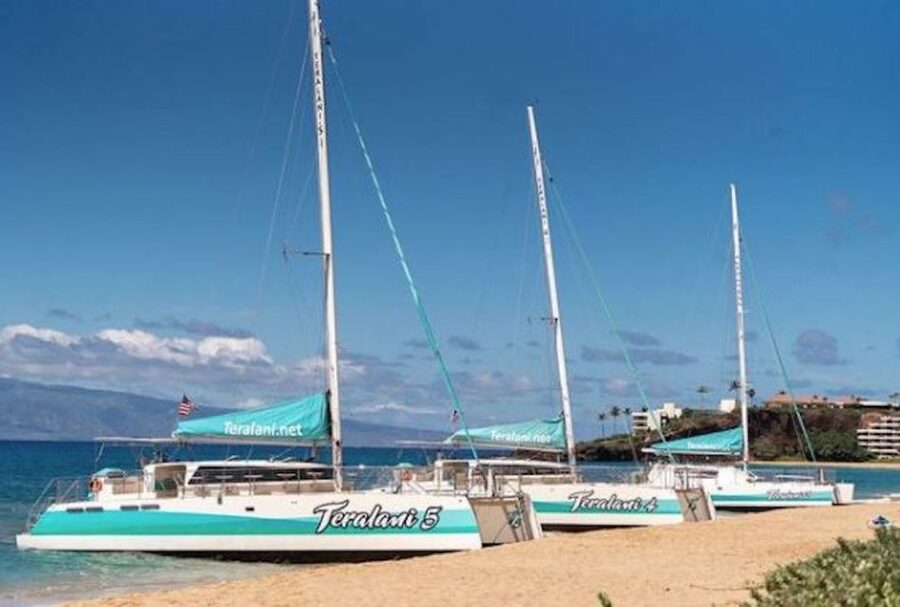 Maui: Kaanapali Dolphin Watching Boat Trip with Lunch - What the 150-minute sail is really like