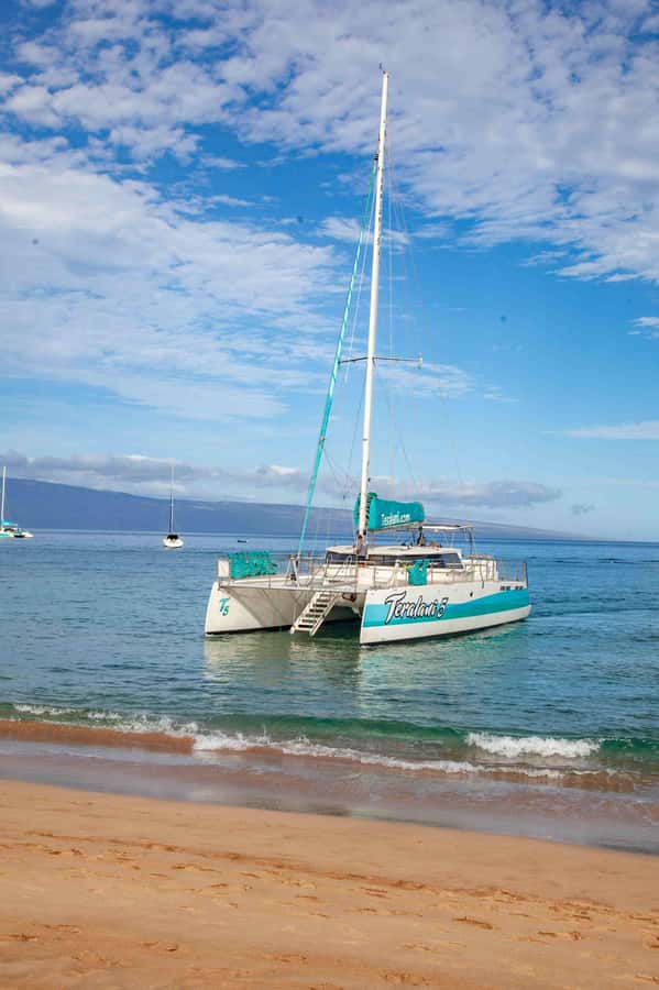 Maui: Kaanapali Whale Watching Boat with Open Bar and Food - Food and drinks that change the pace
