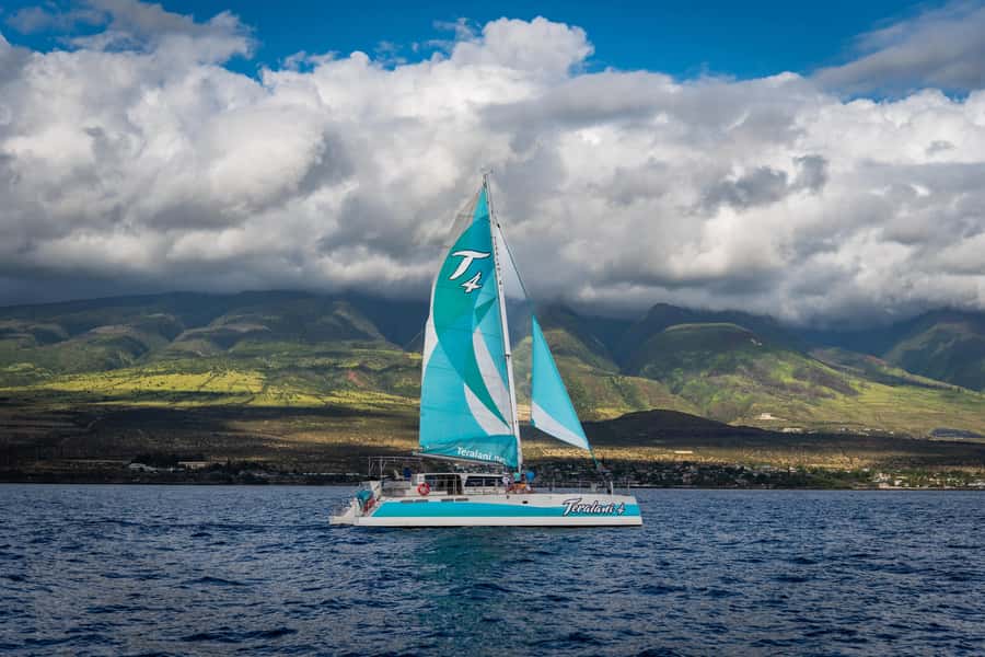 Maui: Kaanapali Whale Watching Boat with Open Bar and Food - How the 150 minutes usually feel