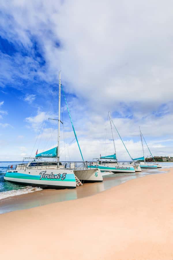 Maui: Kaanapali Whale Watching Boat with Open Bar and Food - Who will enjoy this cruise most