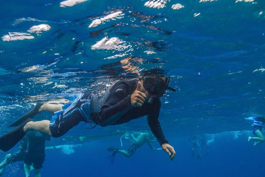 Maui: Lanai Snorkel & Dolphin Watch with Lunch - Who will enjoy this trip most
