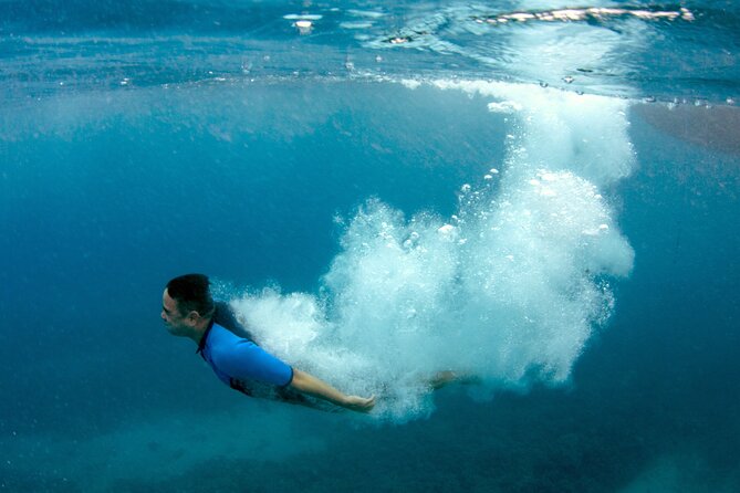 Maui Magic Adventure Snorkel: Molokini Crater and Turtle Stop - What you might see beneath the surface