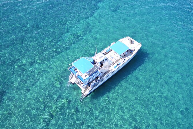Maui Magic Adventure Snorkel: Molokini Crater and Turtle Stop - Price, timing, and the practical tradeoffs