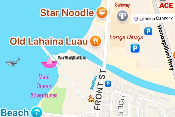 Maui Mid Day Magic Whale Watch - Why this two-hour Maui whale watch works