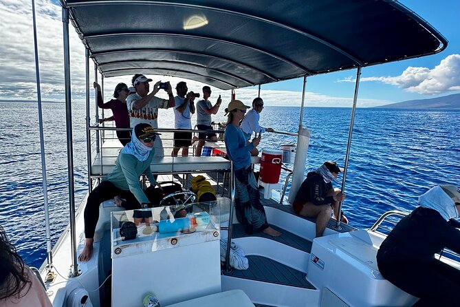 Maui Mid Day Magic Whale Watch - The value of a fast, compact boat