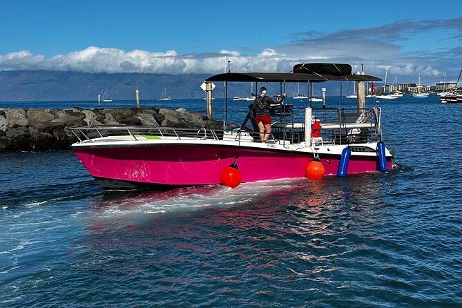 Maui Mid Day Magic Whale Watch - What the crew adds to the experience
