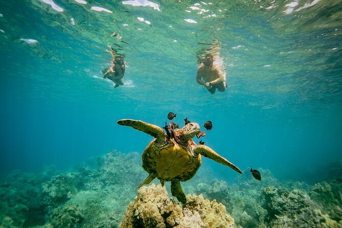 Maui: Molokini Crater and Turtle Town Snorkeling From Kihei - Who should book this morning trip?
