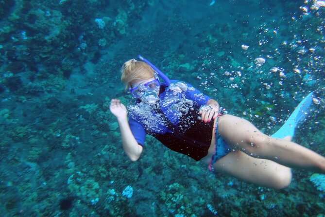 Maui: Molokini & Turtle Town Snorkel & Waterslide Adventure - The waterslide changes the rhythm of the trip