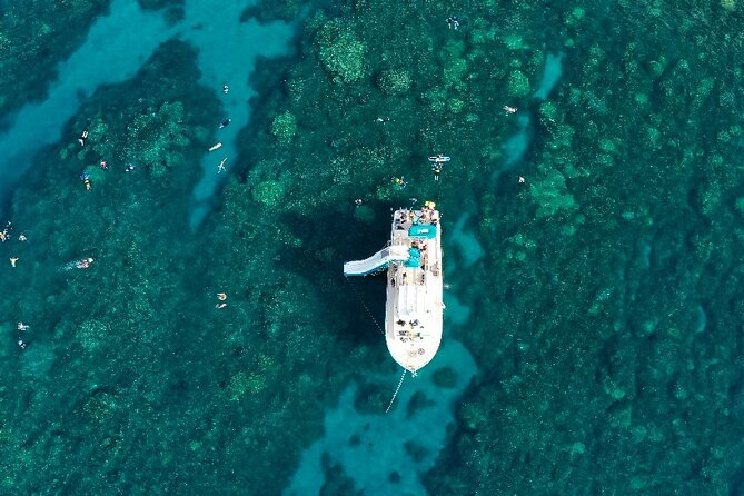 Maui: Molokini & Turtle Town Snorkel & Waterslide Adventure - Whale watching adds value from November through April