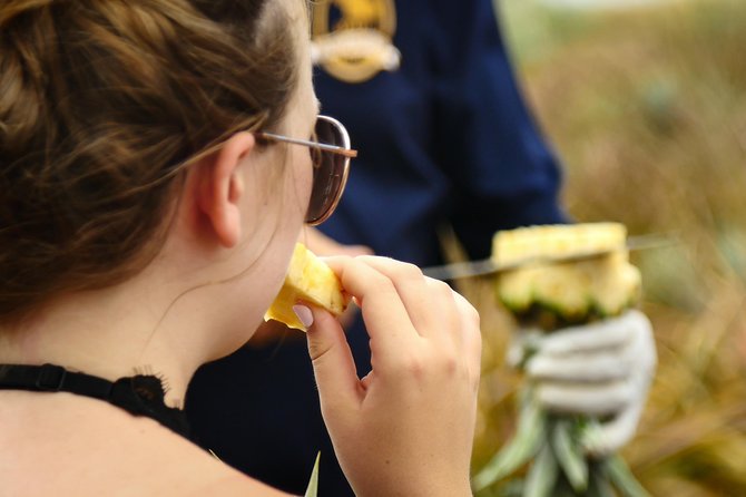 Maui Pineapple Farm Tour in Haliimaile - Practical timing, weather, and cancellation advice