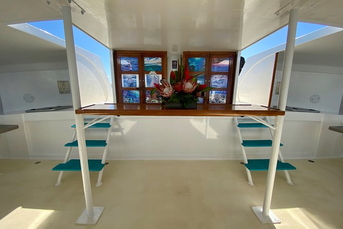 Maui Premium Sunset Dinner Cruise from Ka’anapali Beach - Winter whale watching from the catamaran
