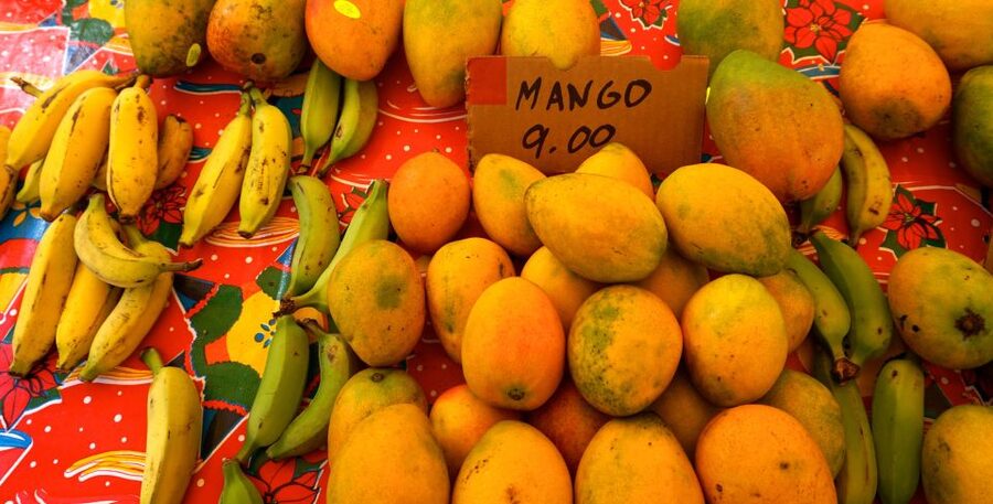 Maui: Private Guided Halfway to Hana Tour - Why a private Road to Hāna day makes sense
