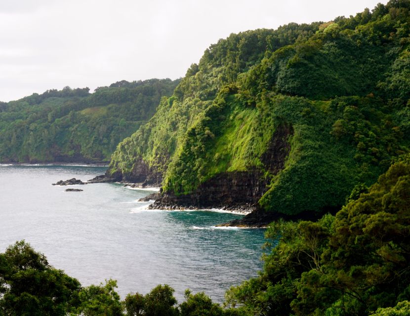 Maui: Private Guided Halfway to Hana Tour - Kaumahina Wayside Lookout and Wailua Valley