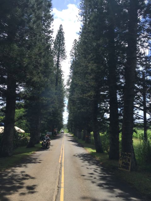 Maui : Private : Road to Hana Day Trip : Just For Your Group - Key points before you book