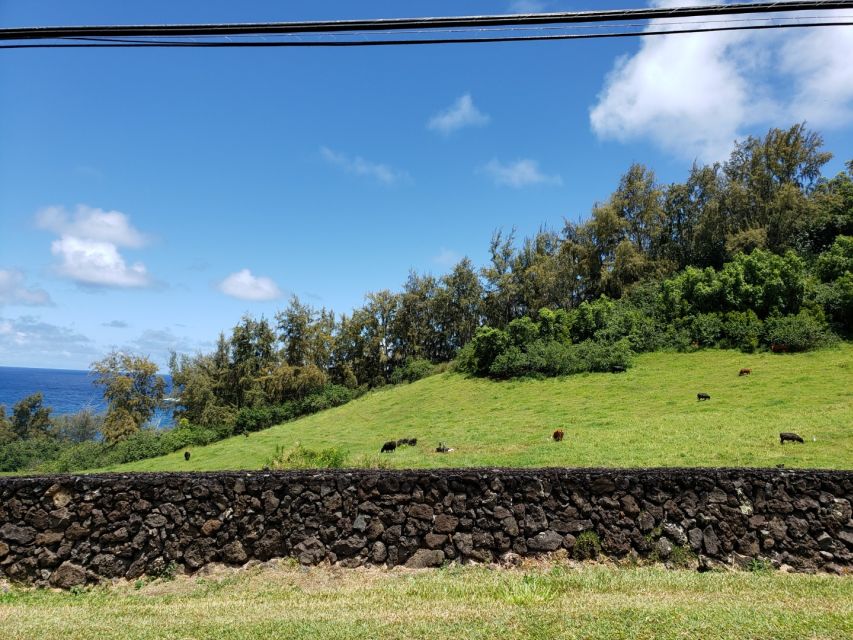 Maui : Private : Road to Hana Day Trip : Just For Your Group - Waiʻānapanapa brings the black sand beach
