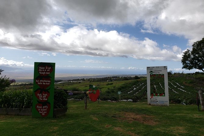 Maui Private Tour - Road to Hana Adventure - Just for Your Group - Banana bread, fruit stands, and lunch