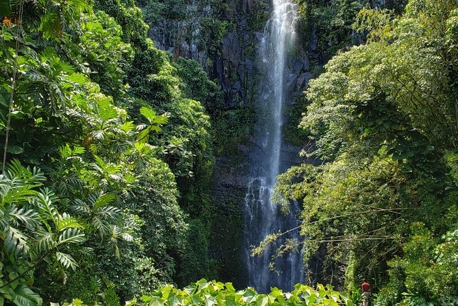 Maui Private Tour - Road to Hana Adventure - Just for Your Group - Keanae Peninsula and the old coastal feel
