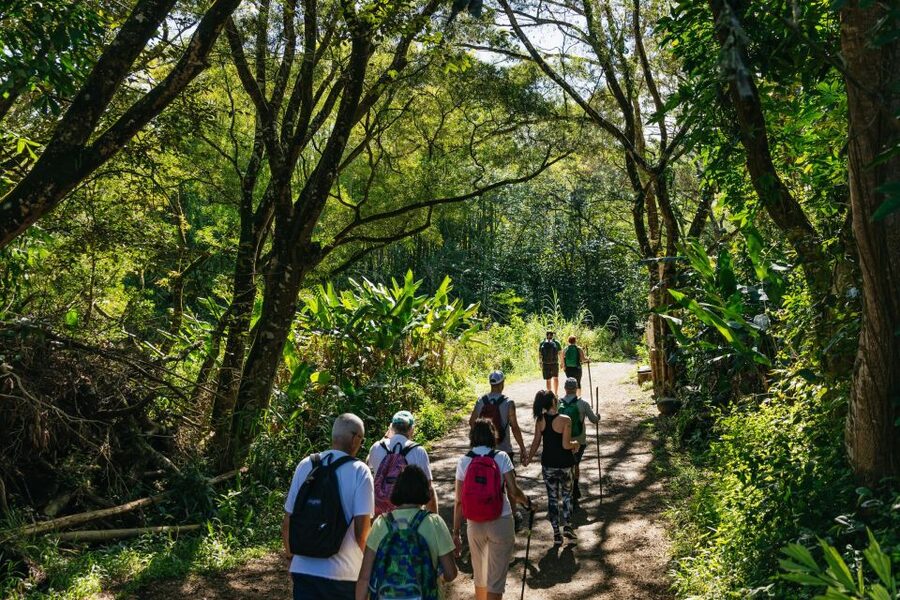 Maui: Rainforest Waterfalls Guided Hike with Picnic Lunch - Booking details that matter
