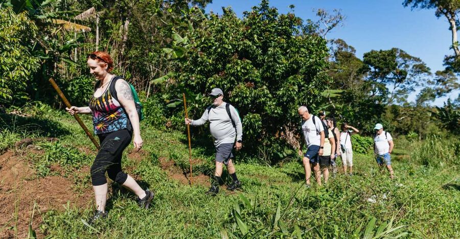 Maui: Rainforest Waterfalls Guided Hike with Picnic Lunch - Waterfalls, pools, and optional rock jumps