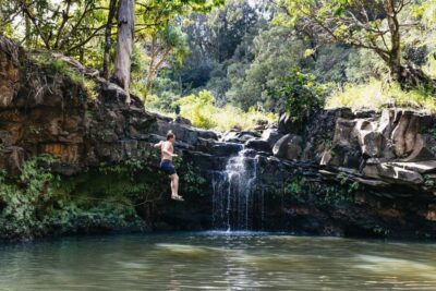 Rainforest Waterfalls Guided Hike with Picnic Lunch