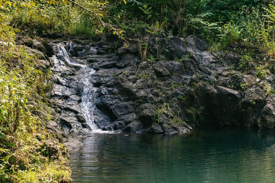 Maui: Rainforest Waterfalls Guided Hike with Picnic Lunch - Lunch beside the tumbling water