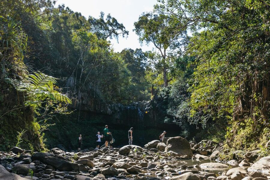 Maui: Rainforest Waterfalls Guided Hike with Picnic Lunch - What footwear really works on this trail